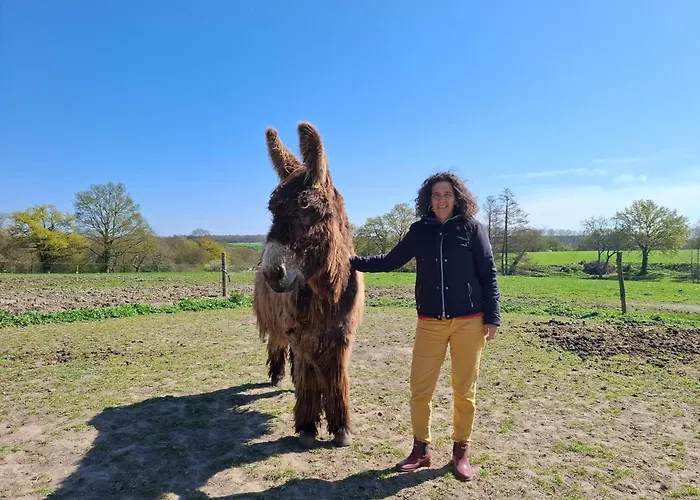 Chez Valentin, Jusqu'a 9 Personnes Saint-Denis-dʼAnjou